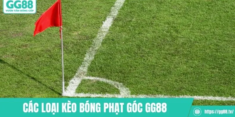 Các loại kèo bóng phạt góc ăn khách hiện nay