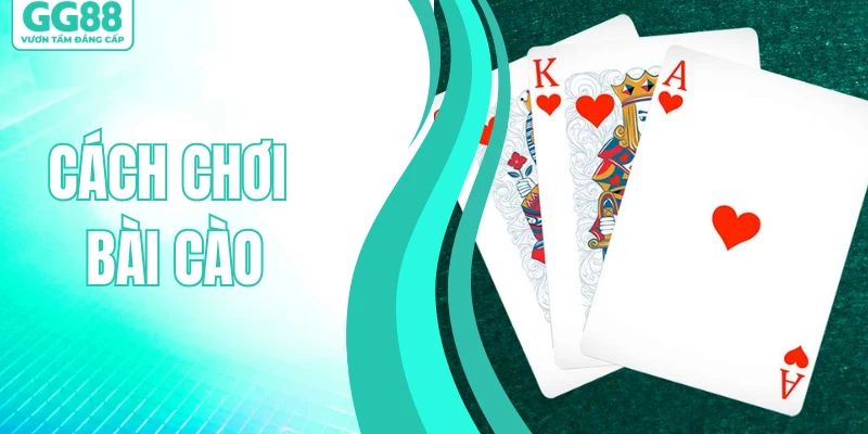 Cách Chơi Bài Cào - Kiến Thức Cá Cược Cơ Bản Cho Người Mới